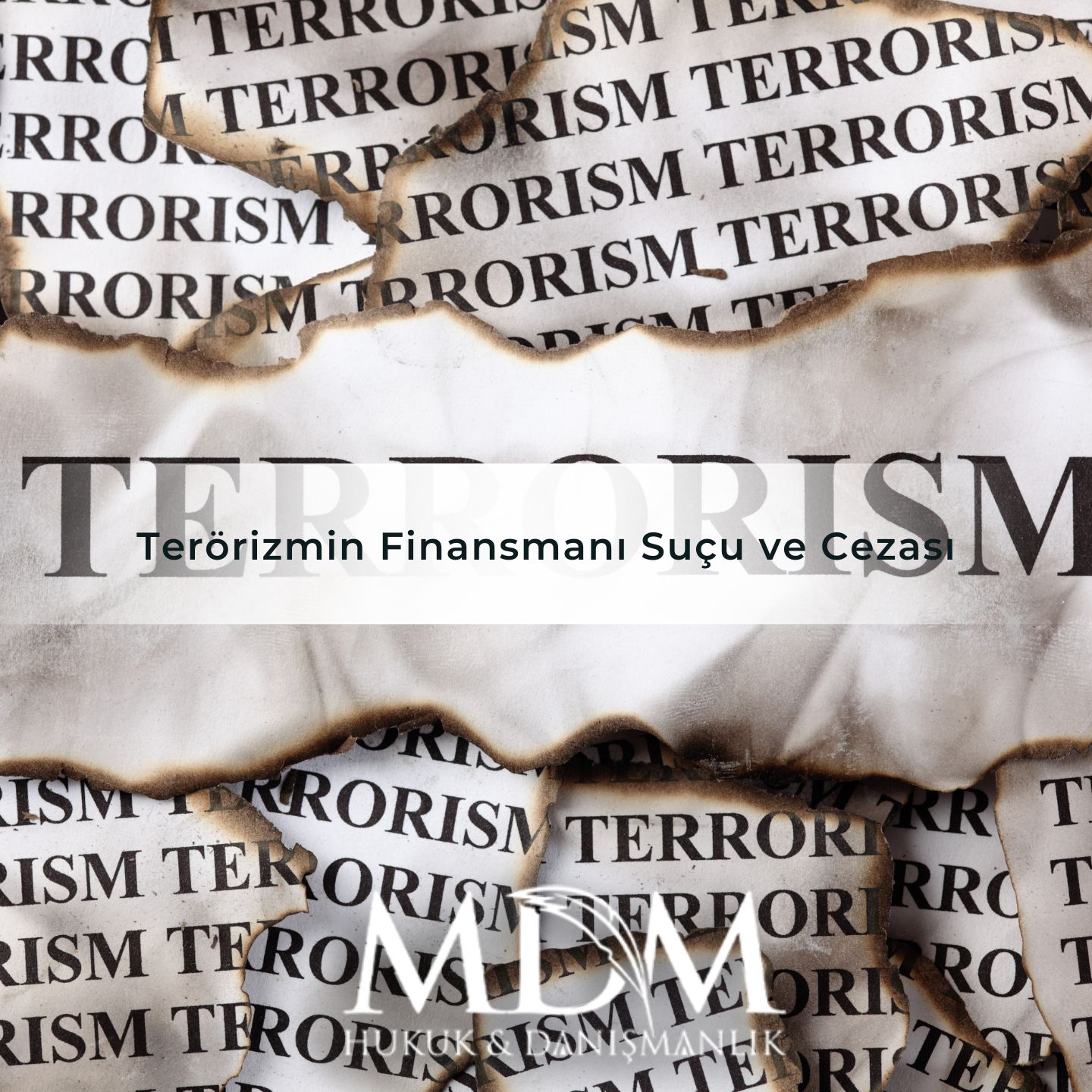 Terörizmin Finansmanı Suçu ve Cezası