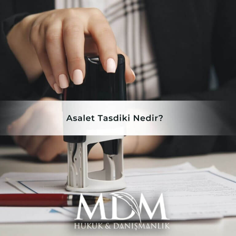 Asalet Tasdiki Nedir Asalet Tasdik Süresi