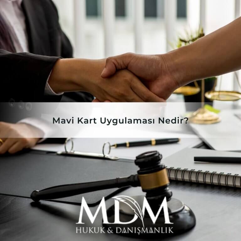 Mavi Kart Uygulaması Nedir? Mavi Kart ve Vatandaşlık