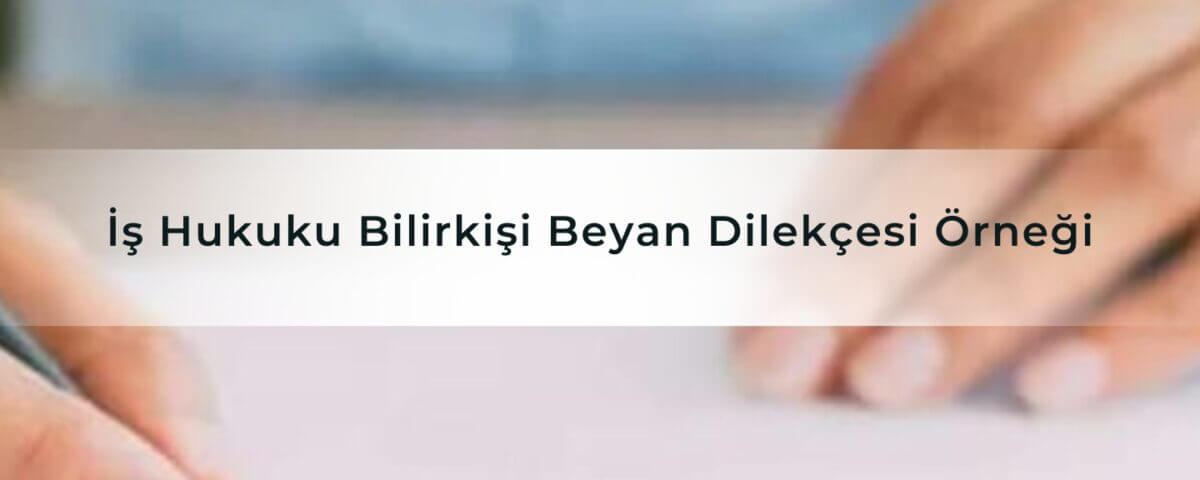 İş Hukuku Bilirkişi Beyan Dilekçesi Örneği