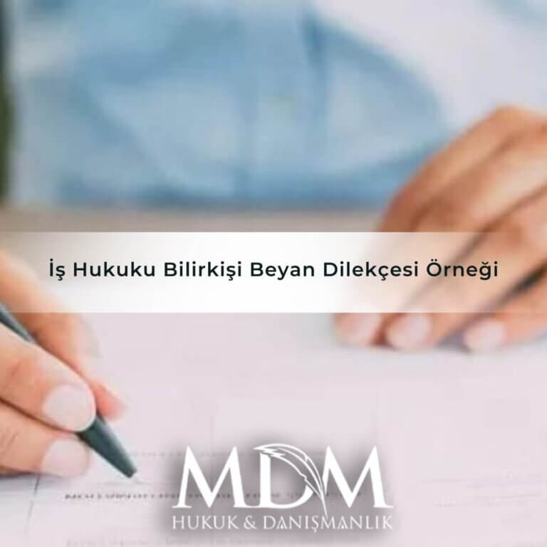 İş Hukuku Bilirkişi Beyan Dilekçesi Örneği