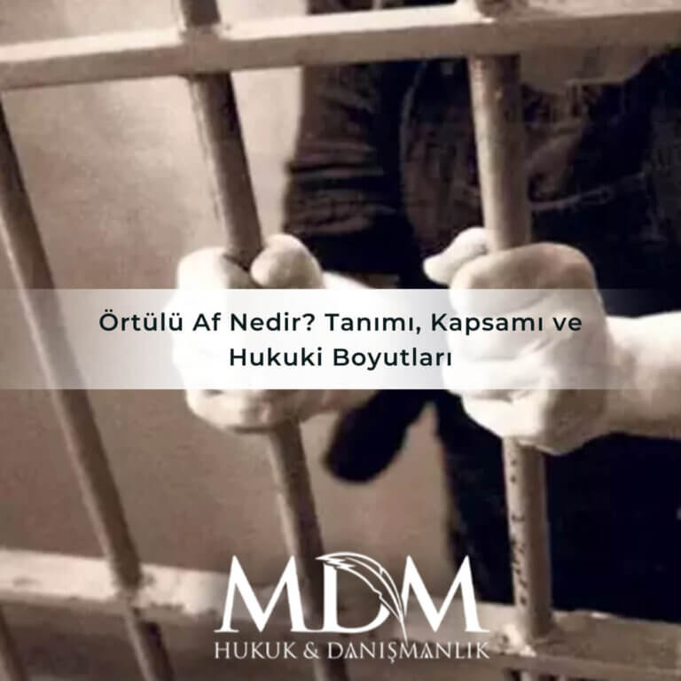 Örtülü Af Nedir Tanımı, Kapsamı ve Hukuki Boyutları