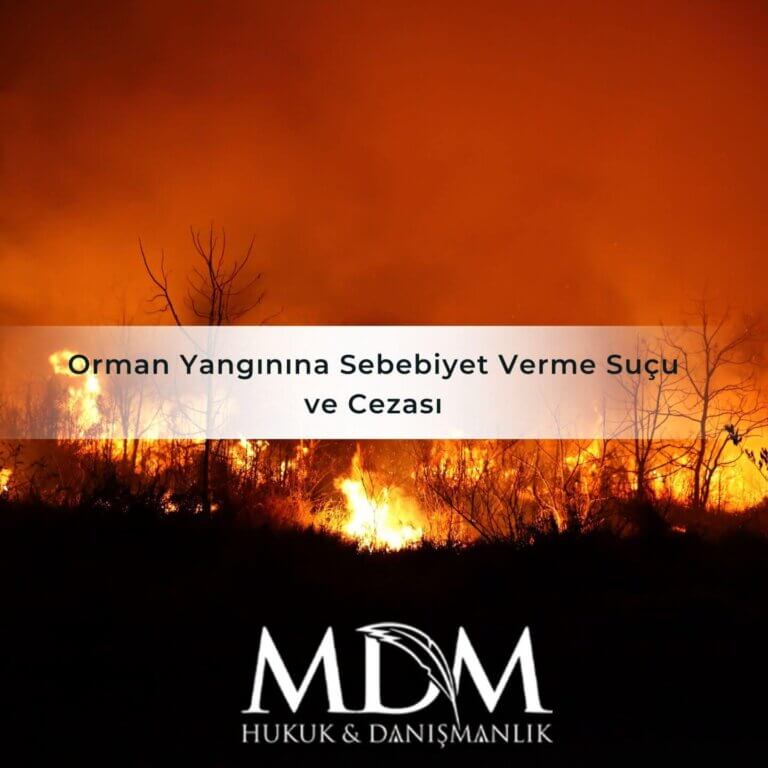 Orman Yangınına Sebebiyet Verme Suçu ve Cezası