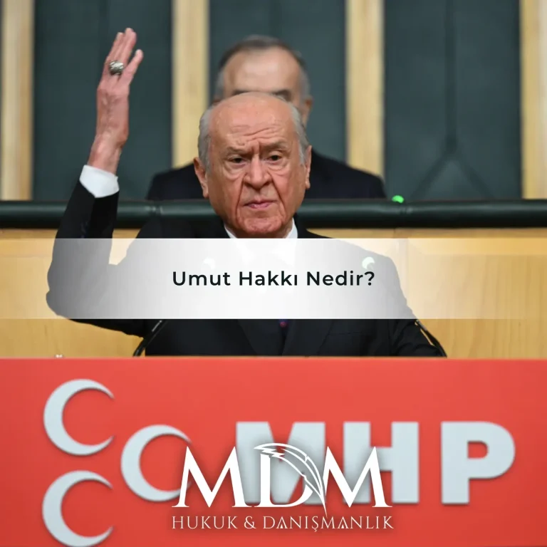 Umut Hakkı Nedir?