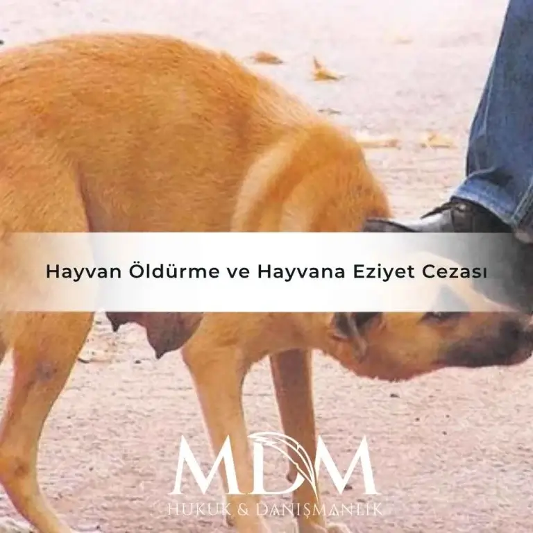 Hayvan Öldürme Ve Hayvana Eziyet Cezası 2 Hayvan Oldurme Ve Hayvana Eziyet Cezasi